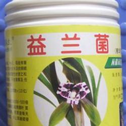 益兰菌【精华液】1000ml/瓶*1瓶 - 中国兰花交易网