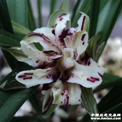 武则天看片色色色报价,王祖贤在日本丝袜性爱的越野性能,tttt999色情网高清图片