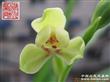 �촨��÷  ���ֺ��� ������ʧ��ʧ������