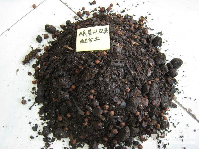 ◆双英牌◆纯天然兰花专用土配合土(10包)